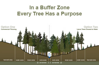 Desired Future Conditions Graphic