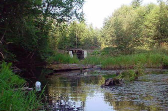 Pysht River Bridge Project